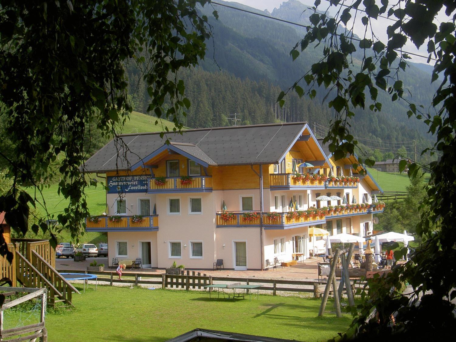 Hotel Hammerwirt - Forellenhof Унтертауэрн Экстерьер фото