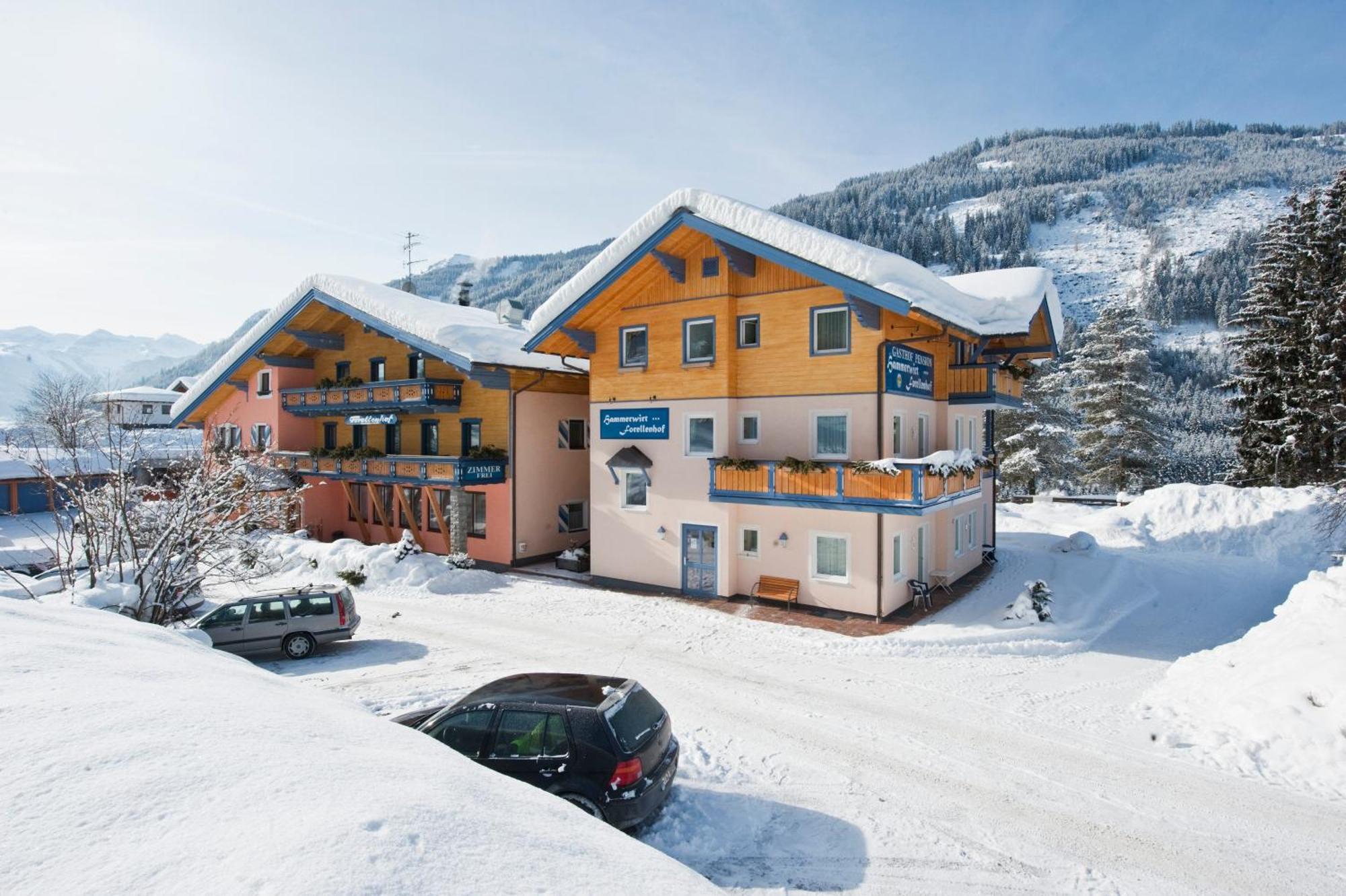 Hotel Hammerwirt - Forellenhof Унтертауэрн Экстерьер фото